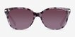 Coach HC8132 L109 Tortoise Purple AcetateSunglass Frames from EyeBuyDirect, Front View