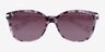 Coach HC8132 L109 Tortoise Purple AcetateSunglass Frames from EyeBuyDirect, Closed View