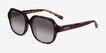 Coach HC8335U C7989 Dark Tortoise Alternative MaterialsSunglass Frames from EyeBuyDirect, Angle View