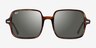 Ray-Ban RB1973 Square Ii Tortoise AcetateSunglass Frames from EyeBuyDirect, Front View