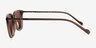 Vogue Eyewear VO5431S Transparent Brown AcetateSunglass Frames from EyeBuyDirect, Side View