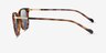 Vogue Eyewear VO5431S Tortoise AcetateSunglass Frames from EyeBuyDirect, Side View