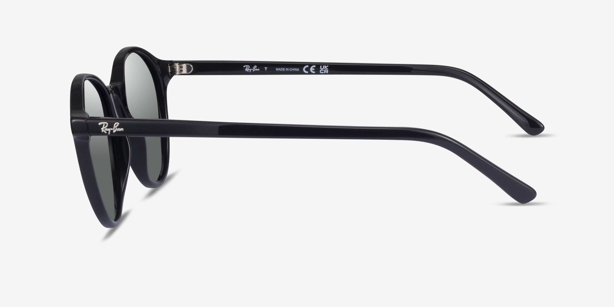 NEW Ray-Ban Bernard Polarized Black Round Sunglasses Ray-Ban 0RB2204 Sunglasses – Saint Bernard main image 4