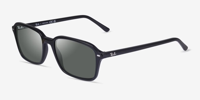 Ray-Ban RB2231 Raimond Black AcetateSunglass Frames from EyeBuyDirect, Angle View