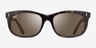 Ray-Ban RB2389 Balorette Tortoise PlasticSunglass Frames from EyeBuyDirect, Front View