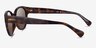 Ralph RA5302U Tortoise AcetateSunglass Frames from EyeBuyDirect, Side View