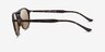 Ray-Ban RB2215 Tortoise AcetateSunglass Frames from EyeBuyDirect, Side View