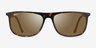 Ray-Ban RB2216 Tortoise AcetateSunglass Frames from EyeBuyDirect, Front View