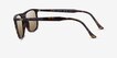 Ray-Ban RB2216 Tortoise AcetateSunglass Frames from EyeBuyDirect, Side View