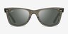 Ray-Ban RB2140 Wayfarer Photo Striped Gray AcetateSunglass Frames from EyeBuyDirect, Front View