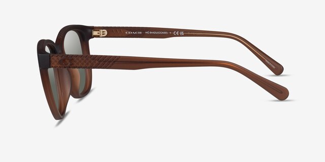 Coach HC8442U CCA00 Matte Transparent Brown Éco-responsableSoleil de Lunette de vue d'EyeBuyDirect, Vue de Côté