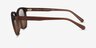 Coach HC8442U CCA00 Matte Transparent Brown Éco-responsableSoleil de Lunette de vue d'EyeBuyDirect, Vue de Côté