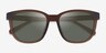 Coach HC8442U CCA00 Matte Transparent Brown Éco-responsableSoleil de Lunette de vue d'EyeBuyDirect, Vue Rapprochée