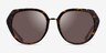 Coach HC8436 CBY93 Dark Tortoise AcetateSunglass Frames from EyeBuyDirect, Front View