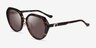 Coach HC8436 CBY93 Dark Tortoise AcetateSunglass Frames from EyeBuyDirect, Angle View