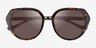 Coach HC8436 CBY93 Dark Tortoise AcetateSunglass Frames from EyeBuyDirect, Closed View