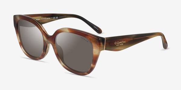 Striated Bark Moss Coach HC8438U CBY94 -  Acetate Sunglasses