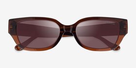 Coach HC8439U CBZ52 Transparent Brown Acétate Soleil de Lunette de vue d'EyeBuyDirect, Vue Rapprochée