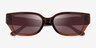 Coach HC8439U CBZ52 Transparent Brown AcetateSunglass Frames from EyeBuyDirect, Closed View