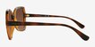 Vogue Eyewear VO5488S Tortoise PlasticSunglass Frames from EyeBuyDirect, Side View