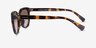 Coach HC8285U L1137 Dark Tortoise PlasticSunglass Frames from EyeBuyDirect, Side View