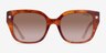 Coach HC8392U CR611 Caramel Tortoise AcetateSunglass Frames from EyeBuyDirect, Front View