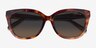 Coach HC8453U CDP53 Walnut Tortoise AcetateSunglass Frames from EyeBuyDirect, Closed View