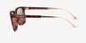 Coach HC8455 CDP54 Caramel Tortoise PlasticSunglass Frames from EyeBuyDirect, Side View
