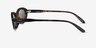 Vogue Eyewear VO5697SU Dark Tortoise PlasticSunglass Frames from EyeBuyDirect, Side View