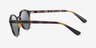 Vogue Eyewear VJ2033 Total Dark Havana PlasticSunglass Frames from EyeBuyDirect, Side View