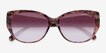 Coach HC8362U CH563 Petal Tortoise AcetateSunglass Frames from EyeBuyDirect, Closed View
