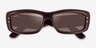 Ray-Ban RB4944 Transparent Dark Brown PlasticSunglass Frames from EyeBuyDirect, Closed View