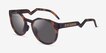 Oakley OO9242A HSTN Matte Tortoise PlasticSunglass Frames from EyeBuyDirect, Angle View