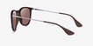 Ray-Ban RB4171 Erika Tortoise MetalSunglass Frames from EyeBuyDirect, Side View