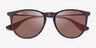 Ray-Ban RB4171 Erika Tortoise MetalSunglass Frames from EyeBuyDirect, Closed View