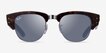 Ray-Ban RB0316S Tortoise Gunmetal MetalSunglass Frames from EyeBuyDirect, Front View