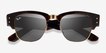 Ray-Ban RB0316S Tortoise MetalSunglass Frames from EyeBuyDirect, Closed View