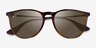 Ray-Ban RB4171 Erika Light Tortoise MetalSunglass Frames from EyeBuyDirect, Closed View