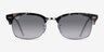 Ray-Ban RB3916 Gray Tortoise AcetateSunglass Frames from EyeBuyDirect, Front View