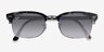 Ray-Ban RB3916 Gray Tortoise AcetateSunglass Frames from EyeBuyDirect, Closed View