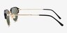 Ray-Ban RB4429 Black Gold MetalSunglass Frames from EyeBuyDirect, Side View