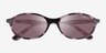 Vogue Eyewear VO5625S Tortoise Eco-friendlySunglass Frames from EyeBuyDirect, Closed View