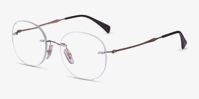 Ray-Ban RB8747 Bronze TitaniumEyeglass Frames from EyeBuyDirect, Angle View