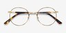 Basquiat Golden & Tortoise MetalEyeglass Frames from EyeBuyDirect, Closed View