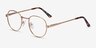 Belleville Golden MetalEyeglass Frames from EyeBuyDirect, Angle View