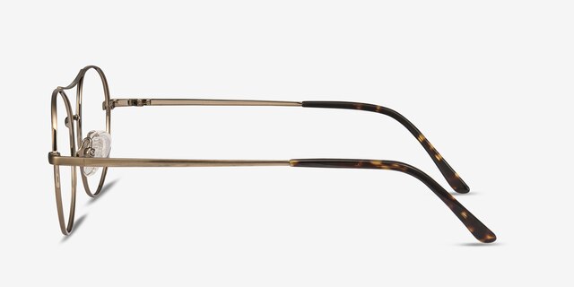 Cassini Brown MetalEyeglass Frames from EyeBuyDirect, Side View