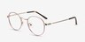 Cupertino Victorian Pink MetalEyeglass Frames from EyeBuyDirect, Angle View
