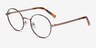 Aero Tortoise Golden MetalEyeglass Frames from EyeBuyDirect, Angle View