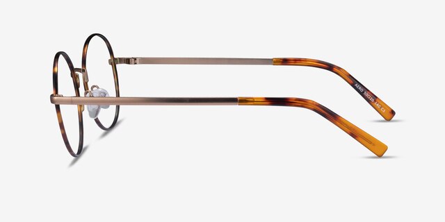 Aero Tortoise Golden MetalEyeglass Frames from EyeBuyDirect, Side View
