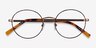 Aero Tortoise Golden MetalEyeglass Frames from EyeBuyDirect, Closed View